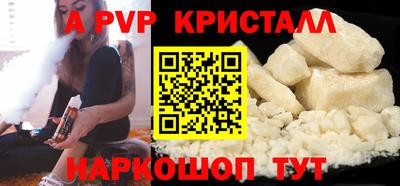 мет Кингисепп
