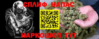 мет Кингисепп