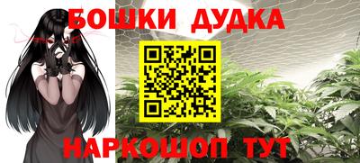 мет Кингисепп