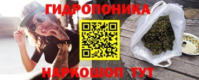 мет Кингисепп