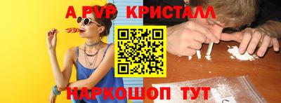 мет Кингисепп