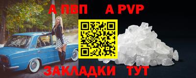мет Кингисепп