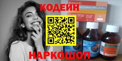 мет Кингисепп